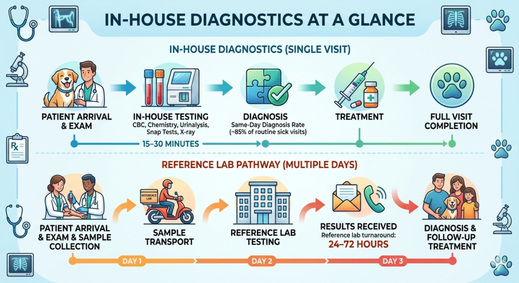 In-House Pet Diagnostics in Sacramento: How Modern Vet Labs Improve Pet Health
