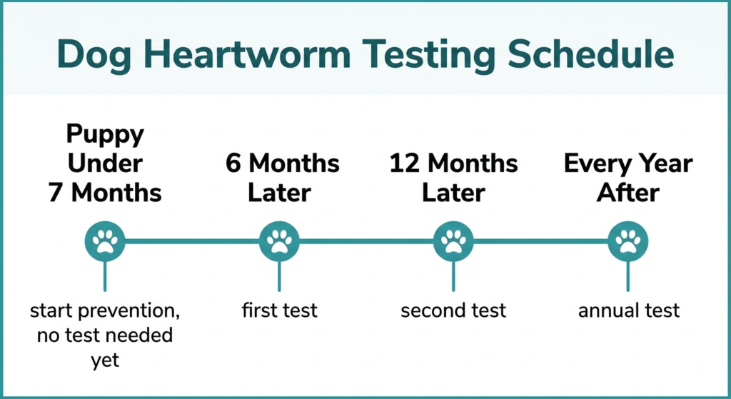 How Much Is a Heartworm Test? A Sacramento Dog Owner's Guide to Cost and Prevention